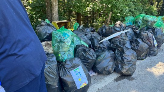 Amenzi mai mari pentru cei care aruncă gunoaie în parcări, propun drumarii brașoveni