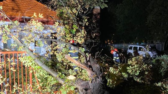 Copaci căzuți pe străzile din muncipiu după furtuna din această seară