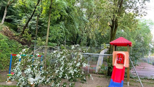 Furtuna de ieri a făcut ravagii și pe Aleea de sub Tâmpa