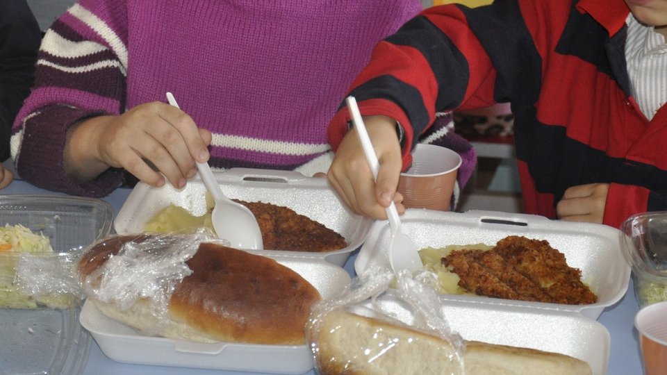 Masa caldă în școli, un alt proiect respins cu ceartă în ședința de plen