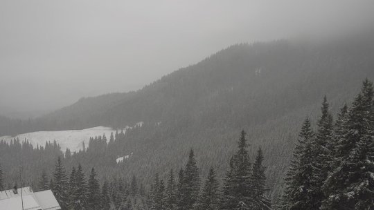 A nins și în Piatra Craiului. Salvamontiștii recomandă turiștilor să nu se aventureze mai sus de Cabana Curmătura