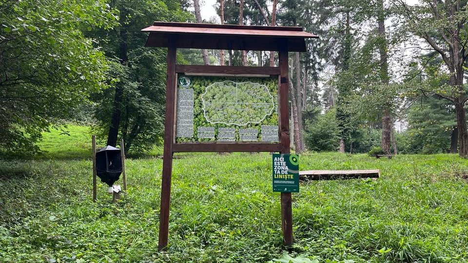 Județul Brașov pariază pe turismul verde, după un concept finlandez: Zone de liniște ca atracție turistică