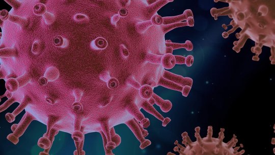 O nouă tulpină a coronavirusului a fost confirmată în România la Institutul "Matei Balş" din Bucureşti