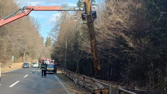 Copac căzut pe drumul spre Poiană. Circulație blocată