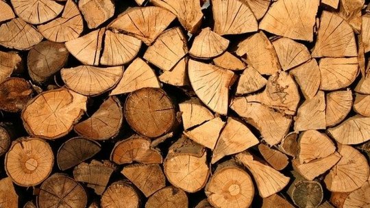 Polițiștii au reținut și lemnul și mașina