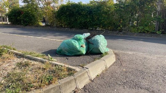 În "Luna curățeniei", doi saci cu resturi vegetale au zăcut timp de două săptămâni în plin centru civic