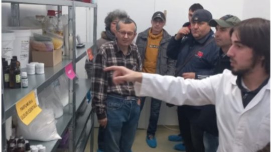 6 adulți cu boli cronice de sănătate mintală au devenit angajați