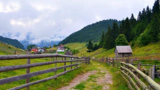 Sechestru pe o pensiune din Moieciu de Jos