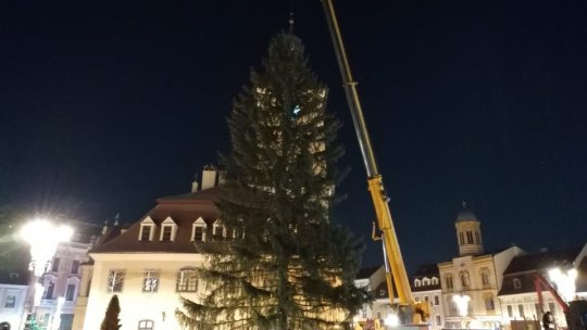 Ce înălțime va avea bradul de Crăciun din Piața Sfatului și de unde va fi adus?