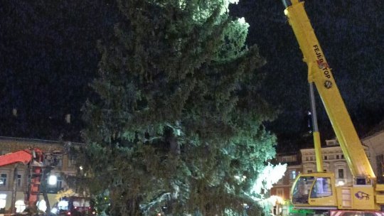 Bradul de Crăciun a ajuns în Piața Sfatului