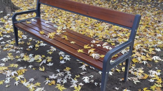 Peste 1700 ha de zone forestiere din Brașov, transformate în păduri-parc