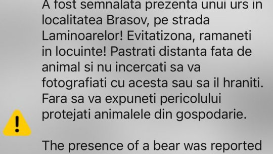 Alertă de urs pe strada Laminoarelor, joi seara