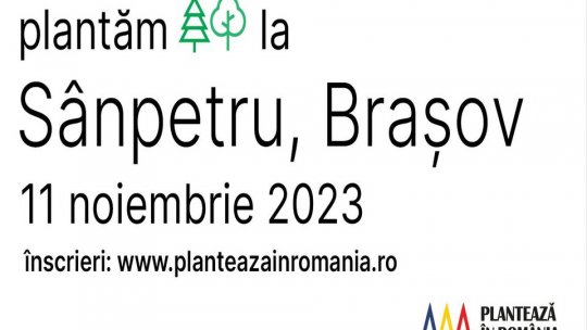 Mii de puieți vor fi plantați la Sânpetru