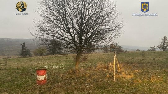 VIDEO Minor forțat să lucreze la o stână din județul Brașov și să abandoneze școala! 5 percheziții au loc în județul Brașov, într-un dosar de trafic de minori