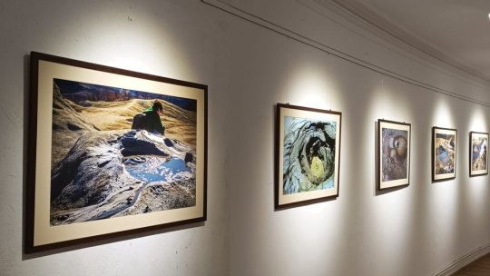 "Cum respiră pământul", cea mai nouă expoziție de la Galeria9