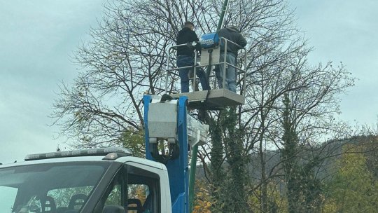 Drumul de Poiană are deja luminițe de sărbătoare