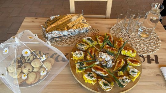 Legea pentru înființarea și funcționarea Punctelor Gastronomice Locale a fost adoptată în Camera Deputaților