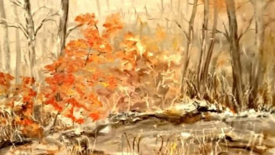 INTERVIU. Artista Laura Cornea expune la Centrul Cultural "Reduta"