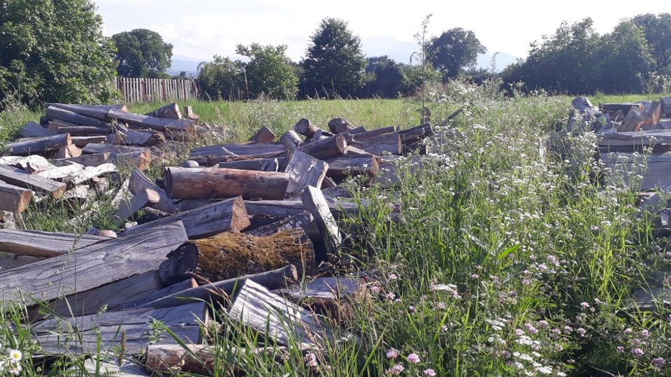 Camere video inteligente, pentru prevenirea furtului de lemn