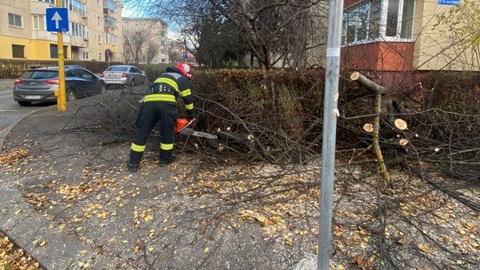 Copaci doborâți de vânt, la Brașov