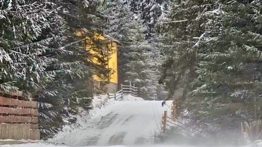 Vânt puternic și ninsori, în toată țara, până luni