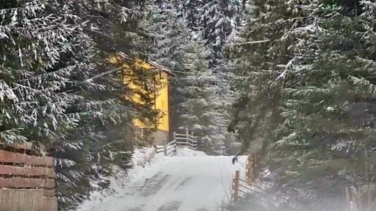 Cod galben de vânt puternic, până luni seara