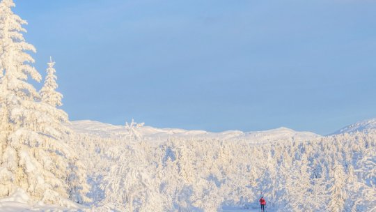 Atenţionare de călătorie în Norvegia