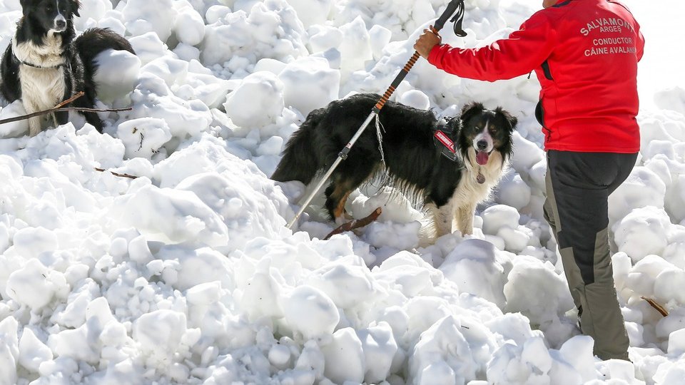 Salvamont România: 61 de apeluri de urgență primite în ultimele 24 de ore