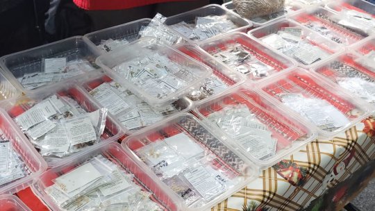 Târgul "Semințe cu Suflet", astăzi, la Biblioteca Județeană din Brașov