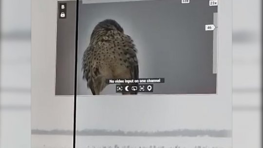 Imagini inedite surprinse de camerele mobile amplasate la Aeroportul de la Brașov