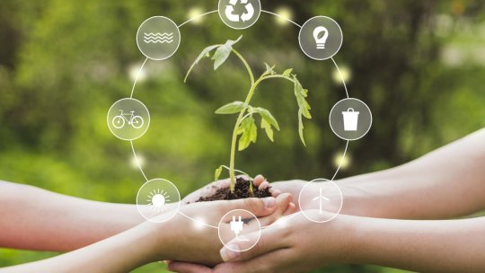 Educație ecologică în școlile din județ