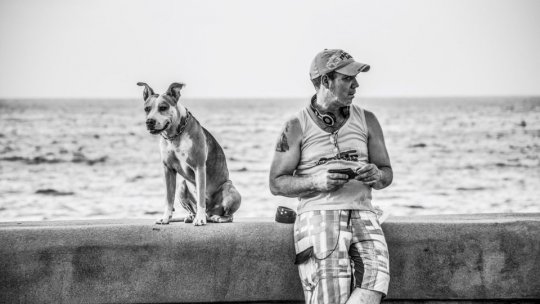 Pictură și fotografie din Cuba, în expoziție la Rectorat