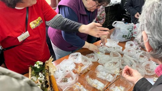 Piaţa "Seminţe cu suflet" a atras, astăzi, zeci de vizitatori la bibliotecă