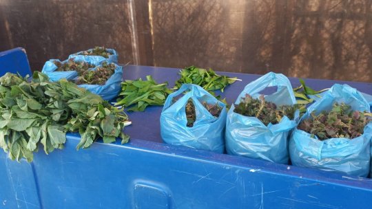 Piețele Brașovului s-au umplut de trufandale