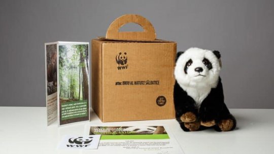 Ziua Internațională a Ursului Panda