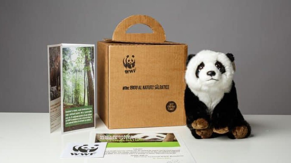 Ziua Internațională a Ursului Panda