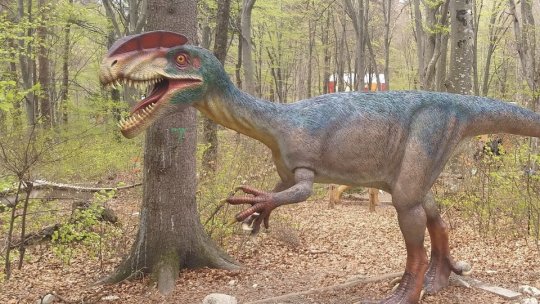 Gratuitate pentru elevi, la Dino Parc Râșnov