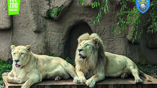Adopții la Grădina Zologică Brașov