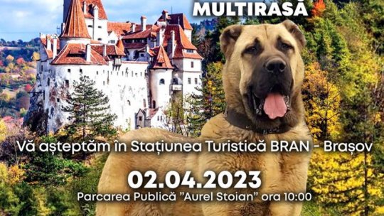 Cei mai frumoși ciobănești vor fi premiați la Bran