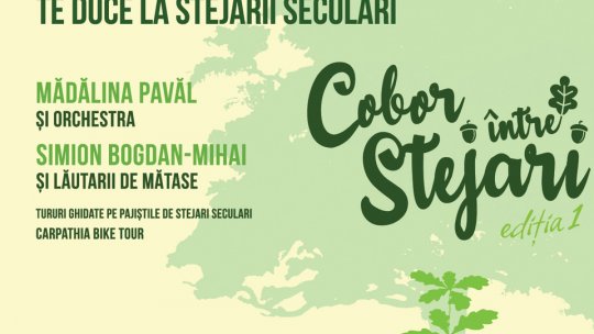 Invitație printre stejarii de la Cobor