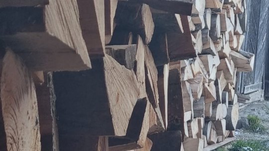 ITM a intensificat controalele în domeniul forestier