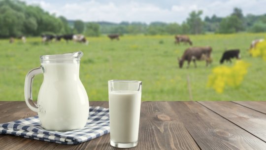 Elevii brașoveni vor merge la ferme să vadă cum se cultivă legumele și fructele și cum se obțin produsele lactate