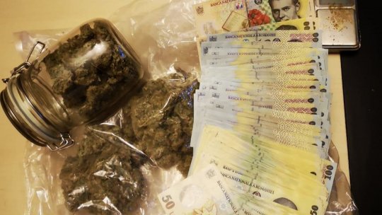 Poliţiştii antidrog au reuşit să anihileze o amplă reţea de consumatori şi traficanţi de droguri