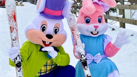 Familia Iepurilă este în Poiana Brașov