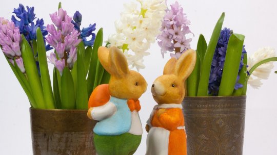 Curiozități pascale. Știați că Paștele are o insulă, o floare și un iepuraș, iar Paștele Cailor chiar există?