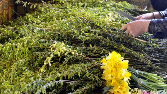 Creștinii romano-catolici sărbătoresc Intrarea Domnului în Ierusalim