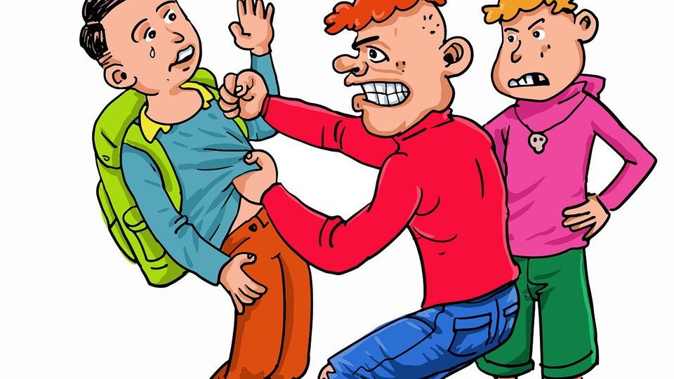 Camera Deputaților: Violența fizică din școli, sancționată