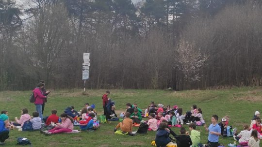 Elevii Școlii Gimnaziale Nr. 5, pe Tâmpa, în Săptămâna Verde