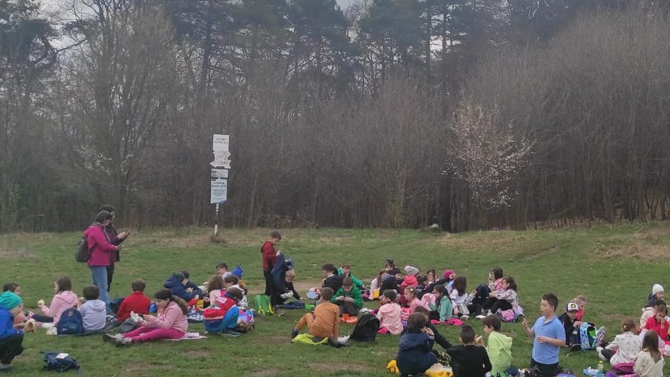 Elevii Școlii Gimnaziale Nr. 5, pe Tâmpa, în Săptămâna Verde