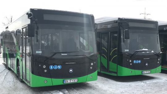 Brad prăbușit pe șosea în zona Fartec